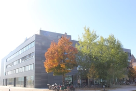 Gebäude und Bäume im Herbst