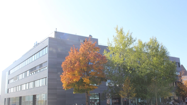 Gebäude und Bäume im Herbst
